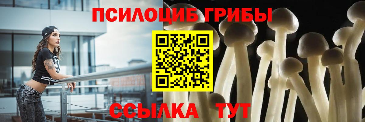 Кимры  Псилоцибиновые грибы ЛСД  Галлюциногенные грибы Psilocybe  Вход с VPN 